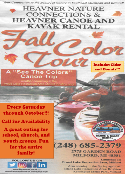 Heavner Canoe &amp; Kayak Rental